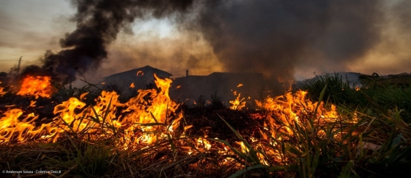 Câmara aprova criação da campanha de conscientização contra queimadas