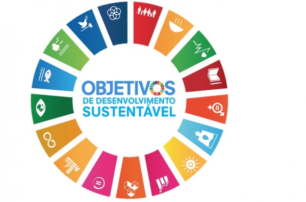 Projeto que incorpora Objetivos de Desenvolvimento Sustentável (ODS) da ONU é aprovado na Câmara de Parauapebas
