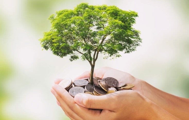 ILegislativo de Parauapebas aprova projeto que converte multas ambientais em créditos de carbono